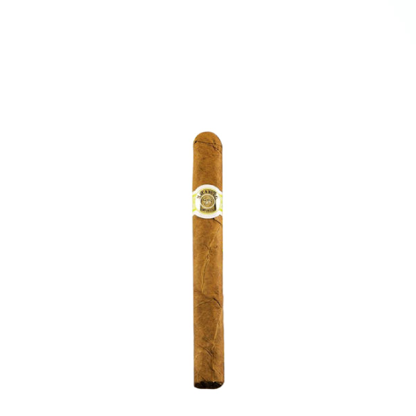 MACANUDO CONNECTICUT ASCOT